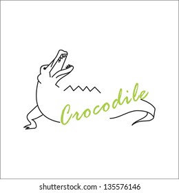 Crocodile
