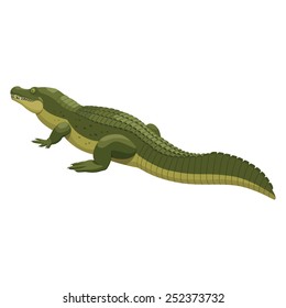 Crocodile