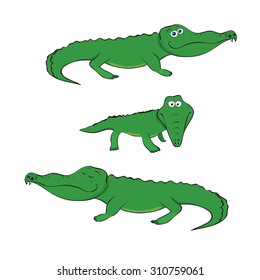crocodile