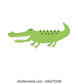 Crocodile