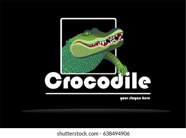 crocodile