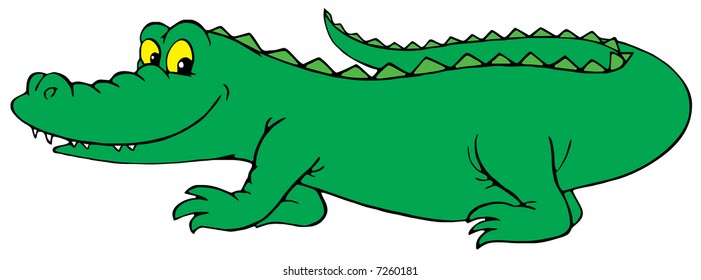 Crocodile