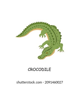 Crocodile, African animal. Vector illustration isolated on white background.