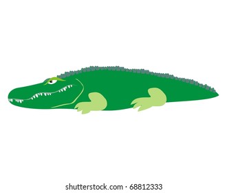 Crocodile - African wildlife color vector cartoon