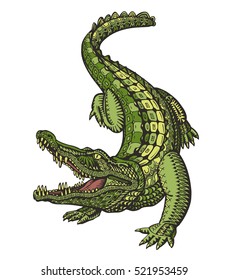 Crocodile or Alligator. Animal in ethnic style. Vector illustration