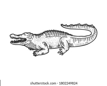 crocodile alligator animal sketch engraving vector illustration. T-shirt apparel print design. Scratch board imitation. Black and white hand drawn image.