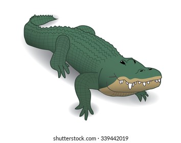 Crocodile, Alligator, Caiman on white background