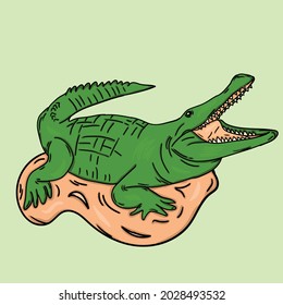 crocodile alligator illustration vector art cute