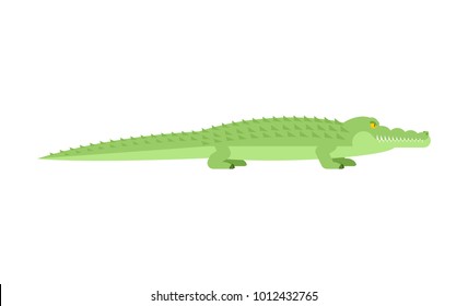 Crocodile. Alligator isolated. Predator animal. Vector illustration
