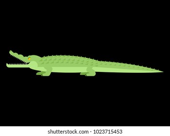 Crocodile. Alligator isolated. Predator animal. Vector illustration
