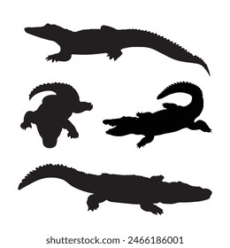 Crocodile and alligator silhouette set Isolated on White Background. Crocodile Vector Illustration. Crocodile Art work.