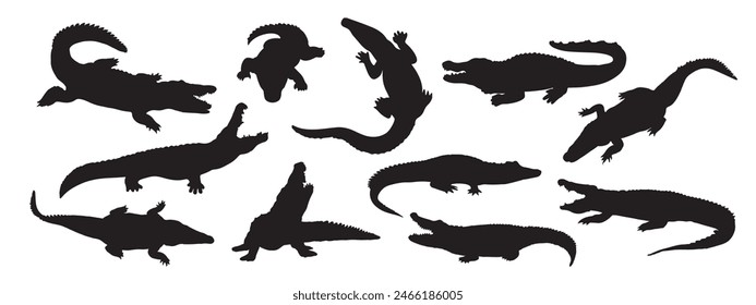 Crocodile and alligator silhouette set Isolated on White Background. Crocodile Vector Illustration. Crocodile Art work.