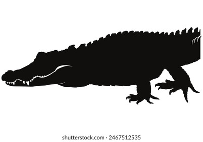 Crocodile and alligator silhouette , Alligator straight tail silhouette
