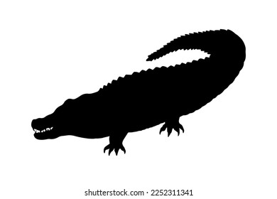 Crocodile, alligator, silhouette. Vector stock illustration eps 10.