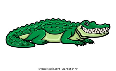 Crocodile alligator smiling isolated on white background.