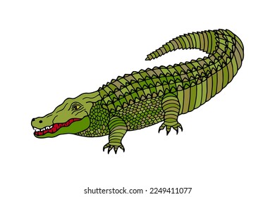 Crocodile, alligator. Vector stock illustration eps10.