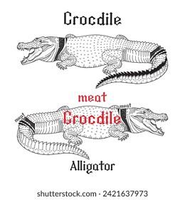 Crocodile Alligator Vintage Style. The art of slicing crocodile meat. Crocodile logo template. Symbol of alligator. Wild animal. vector illustration Line art drawings
