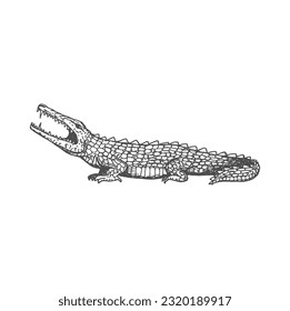 Crocodile ancient aztec animal isolated alligator sketch reptile icon. Vector vintage sea monster, retro crocodile with sharp teeth and claws