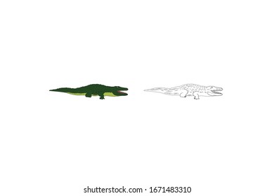 Crocodile  Animal Cartoon Vector Illustration Bundle