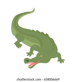Crocodile cartoon character. Scary green crocodile with open mouth flat isolated vector. African fauna. Crocodile icon. Wild animal illustration for zoo ad, nature concept, children book illustrating