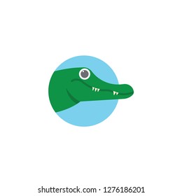 crocodile cartoon icon