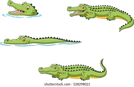  Crocodile collection set

