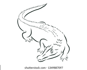Crocodile contour , vector illustration 