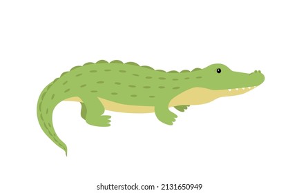 Crocodile cute cartoon alligator. Vector illustration of an African predator animal isolated on white