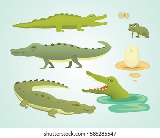 Crocodile Cute Character set. Aligator vector cartoon illustration