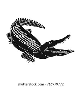 Crocodile, dangerous predator. Reptile, Nile crocodile single icon in black style vector symbol stock illustration web.