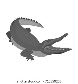 Crocodile, dangerous predator. Reptile, Nile crocodile single icon in monochrome style vector symbol stock illustration web.