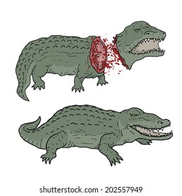 Crocodile death