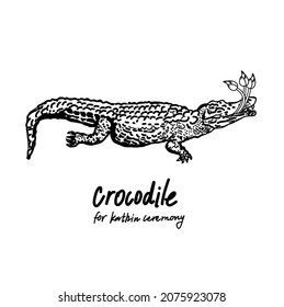 Crocodile doodle for  Kathin ceremony.