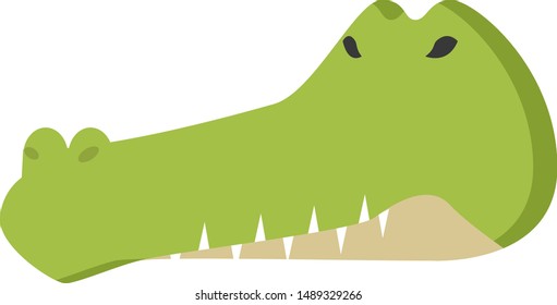 crocodile face isolated vector illustration