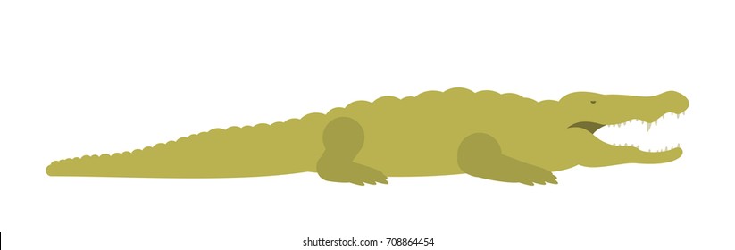 Crocodile in flat style on white background