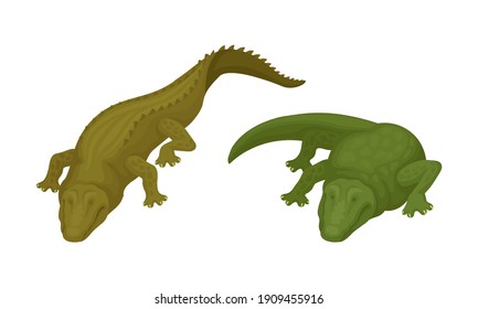 Crocodile as Green Predatory Semiaquatic Reptile Vector Set