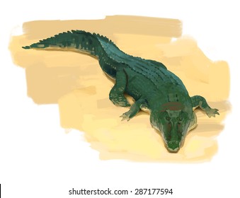 Crocodile hand drawn vector colorful illustration 