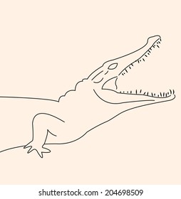 Crocodile head