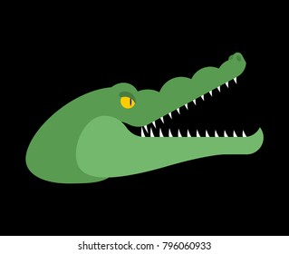 Crocodile head. Alligator muzzle isolated. Predator animal. Vector illustration
