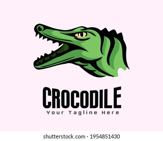 crocodile head dangerous animal logo symbol design illustration inspiration