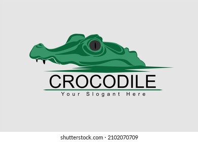  crocodile head floating logo vector