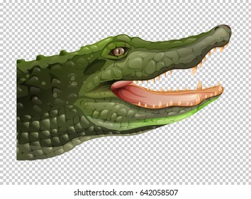 Crocodile head on transparent background illustration