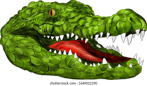 crocodile head portrait green with open mouth green cartoon vector illustration print