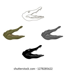 Crocodile icon in cartoon style isolated on white background. Realistic animals symbol stock vector illustration.