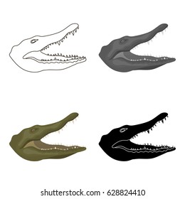 Crocodile icon in cartoon style isolated on white background. Realistic animals symbol stock vector illustration.