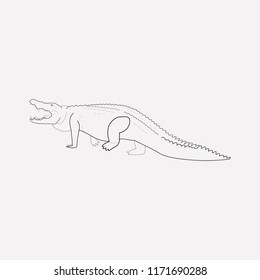 Crocodile icon line element. Vector illustration of crocodile icon line isolated on clean background for your web mobile app logo design.