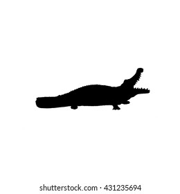 crocodile icon. crocodile sign