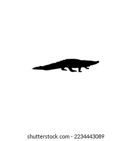 Crocodile icon. Simple style zoology science poster background symbol. Crocodile brand logo design element. Crocodile t-shirt printing. vector for sticker.