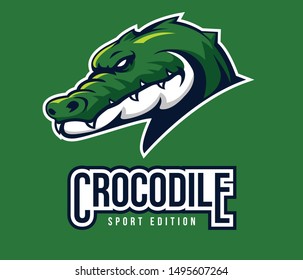 crocodile icon sport on vector art
