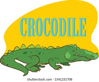 crocodile  icons design vector illustration